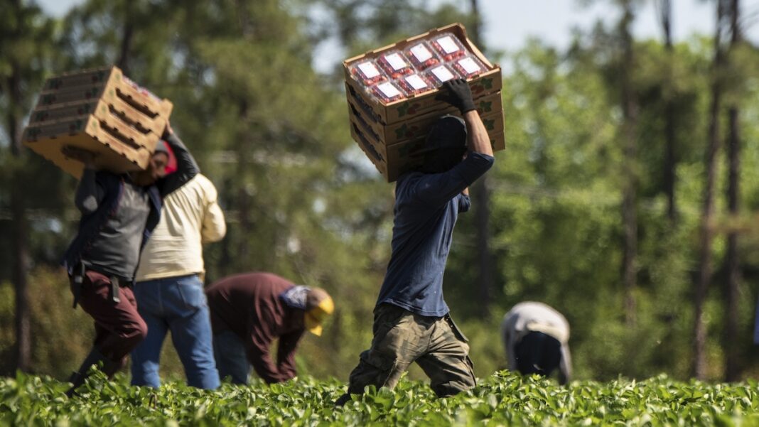 farmworkers
