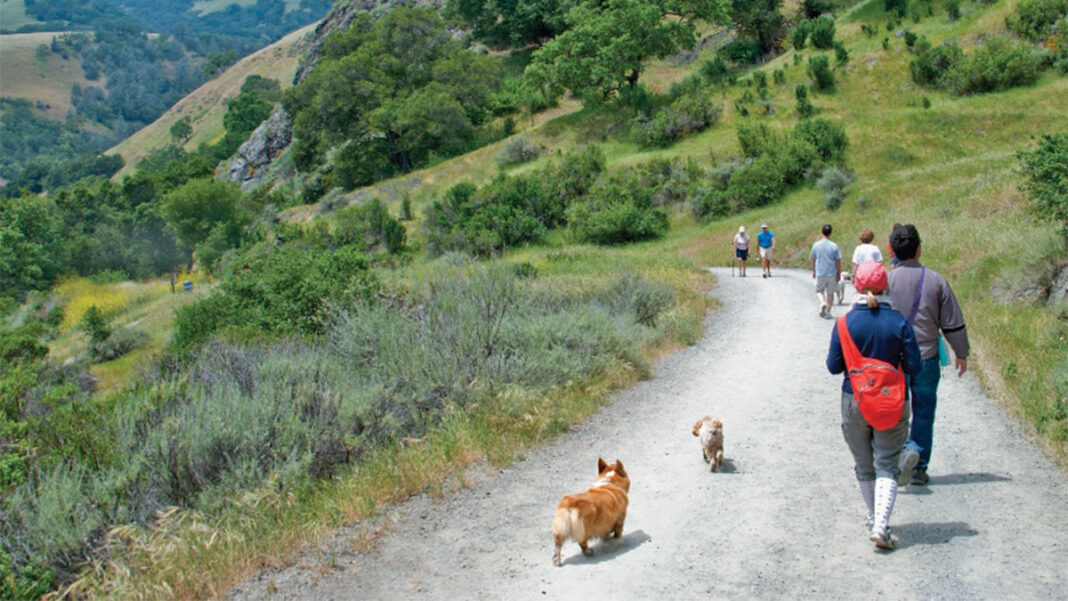 Sunol Regional Wilderness